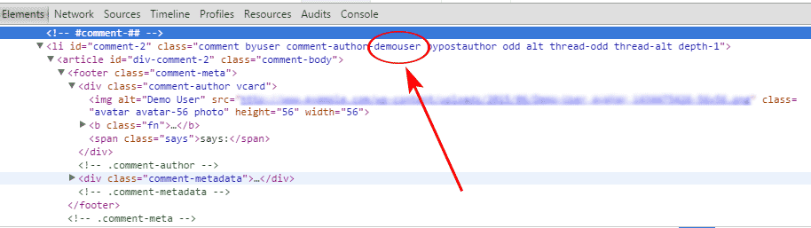 Author Username In Comment Class